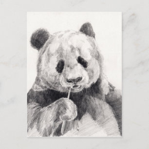 Postal Ilustracion de Panda blanco y negro