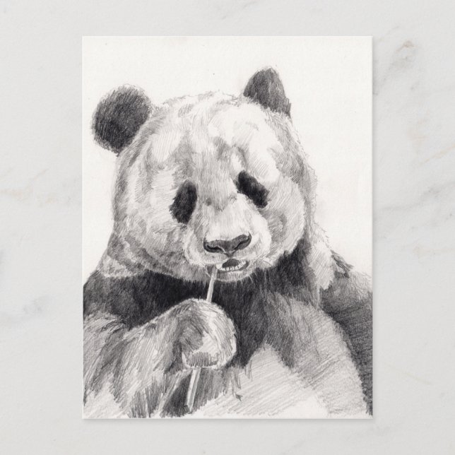 Postal Ilustracion de Panda blanco y negro (Anverso)