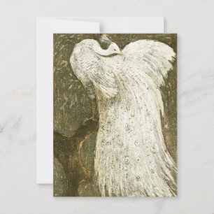 Postal Ilustracion de pavo real blanco