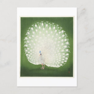 Postal Ilustracion de pavo real blanco por Ohara Koson