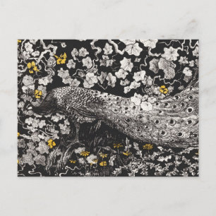 Postal Ilustracion de pavo real por Theo van Hoytema