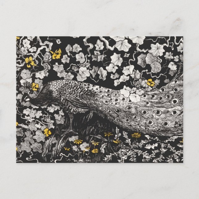 Postal Ilustracion de pavo real por Theo van Hoytema (Anverso)