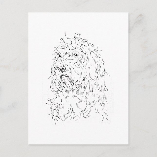 Postal Ilustración de perro, arte adorable de Cockapoo (Anverso)