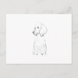 Postal Ilustración de perro Caniche Estándar