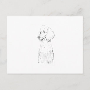 Postal Ilustración de perro Caniche Estándar
