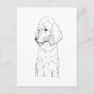 Postal Ilustración de perro Caniche Estándar - Arte de Ti