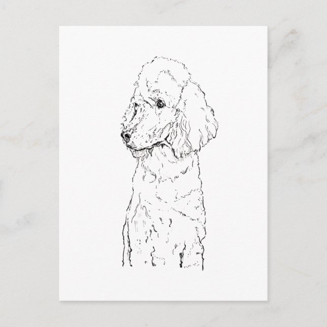 Postal Ilustración de perro Caniche Estándar - Arte de Ti (Anverso)