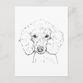 Postal Ilustración de perro caniche lindo, dibujado a man