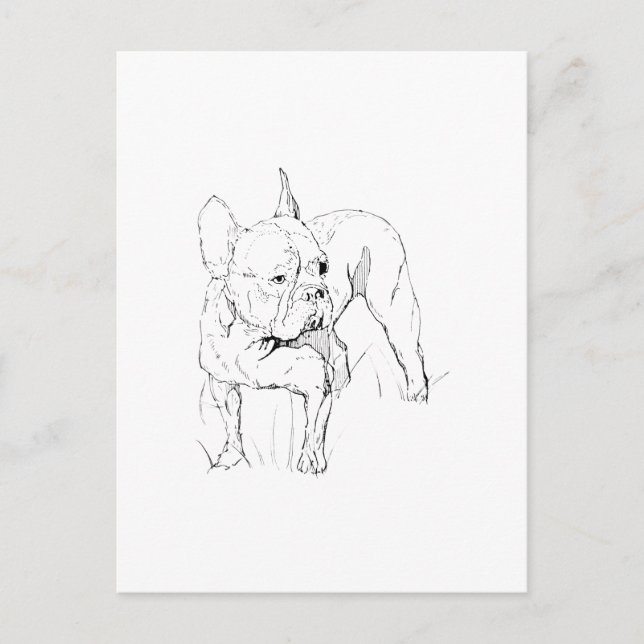 Postal Ilustración de perro dibujada a mano de Bulldog Fr (Anverso)