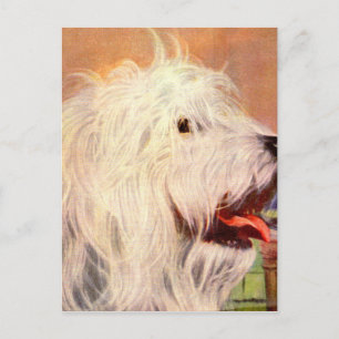 Postal ilustracion de perro pastelero inglés de los años