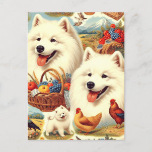 Postal Ilustracion de perro Samoyed de época