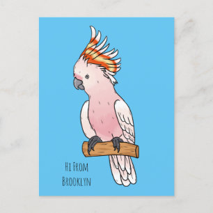 Postal Ilustracion de personalizado de aves de la cacatúa