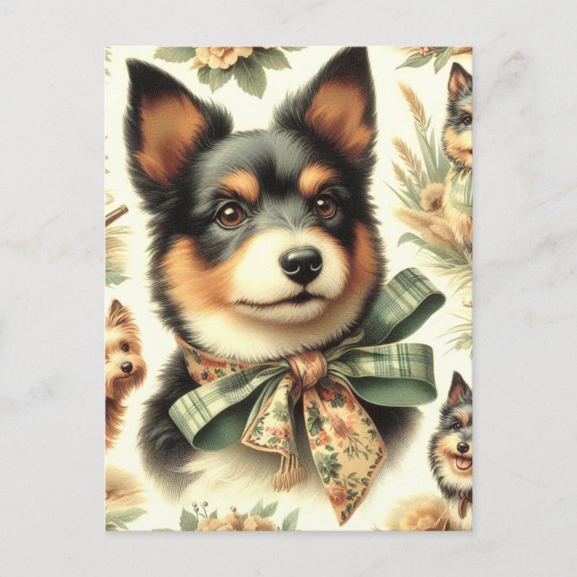 Postal Ilustracion de pintura de territorios australianos (Anverso)