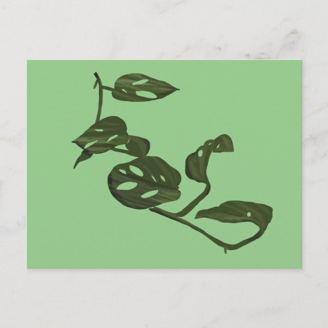 Postal Ilustracion de planta de queso Monstera Adanosii G (Anverso)