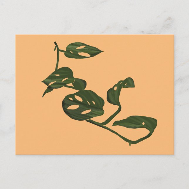 Postal Ilustración de planta de queso Monstera Adanosii v (Anverso)