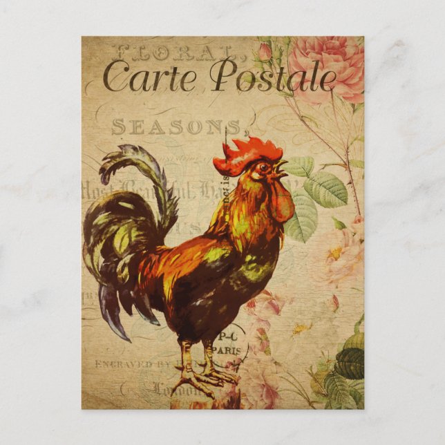 Postal Ilustracion de Pollo Vintage Hen Rooster francés (Anverso)