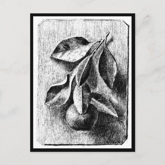 Postal Ilustracion de Postcard-Vintage-Beatrix Potter 8 (Anverso)