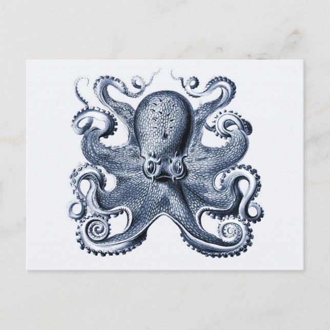 Postal Ilustracion de pulpo azul de la Marina por Ernst H (Anverso)