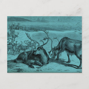 Postal Ilustracion de renos azul vintage