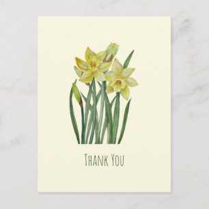 Postal Ilustración de retrato de flores de narcisos en ac