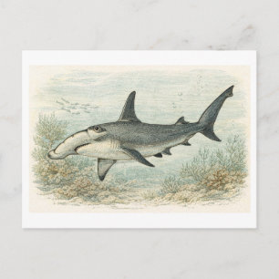 Postal Ilustración de tiburón martillo al estilo vintage