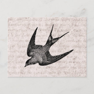 Postal Ilustracion de tragos vintage - Pájaro antiguo de