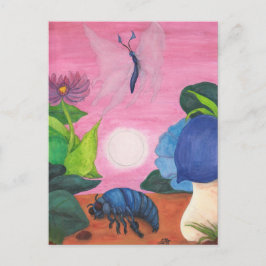 Postal Ilustracion de transformación de mariposa de insec