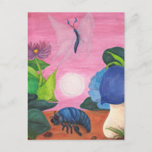 Postal Ilustracion de transformación de mariposa de insec