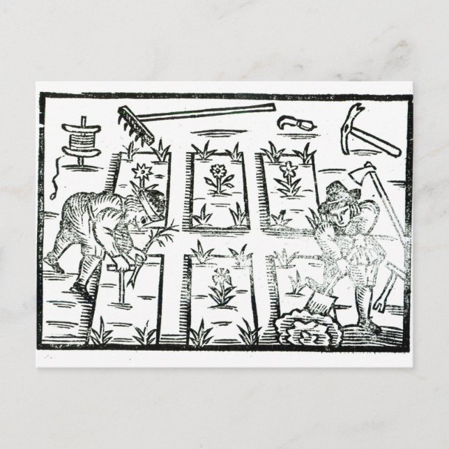 Postal Ilustracion de un libro sobre jardinería (Anverso)