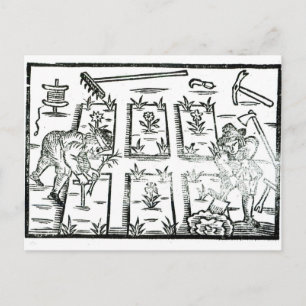 Postal Ilustracion de un libro sobre jardinería