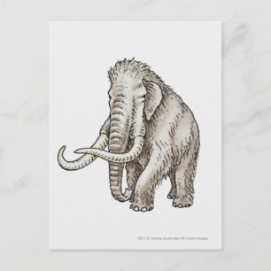 Postal Ilustracion de un mamut