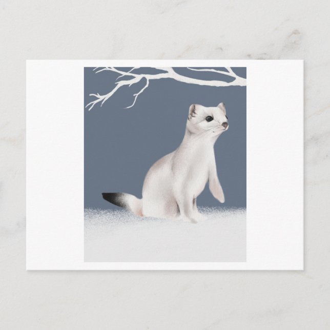 Postal Ilustracion de una comadreja pintada en acuarela (Anverso)