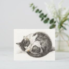 Postal Ilustracion de Vintage para Gato Dormido