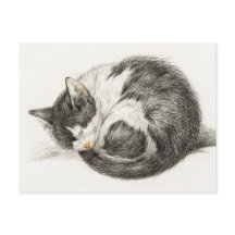 Ilustracion de Vintage para Gato Dormido