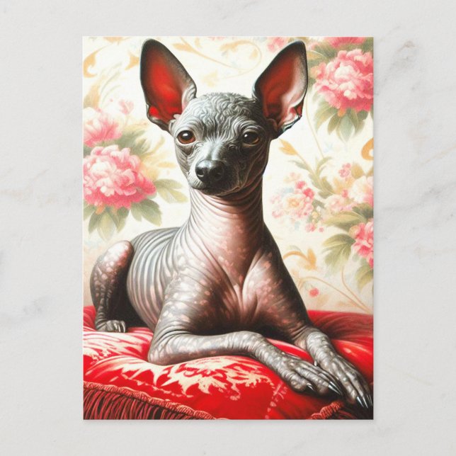 Postal Ilustracion de Xoloitzcuintle (Anverso)