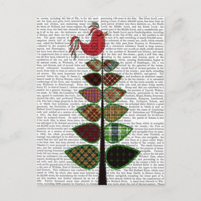 Postal Ilustracion del árbol de Tartán (Anverso)