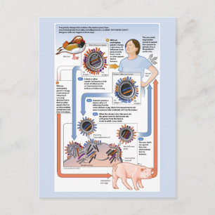 Postal Ilustracion del cambio antigénico (gripe)