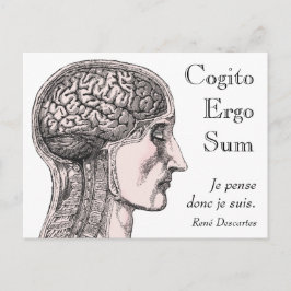Postal Ilustracion del cerebro humano Cogito Ergo Sum