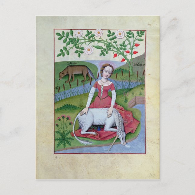 Postal Ilustracion del "Libro de Medicinas Simples" (Anverso)