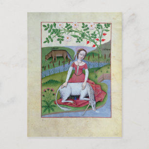 Postal Ilustracion del "Libro de Medicinas Simples"