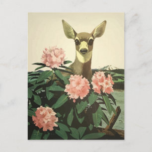 Postal Ilustracion del Pacífico Noroeste Vintage