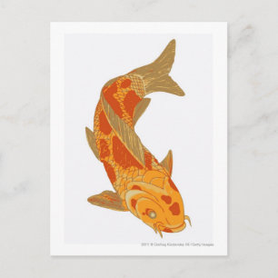 Postal Ilustracion digital de la carpa de Koi