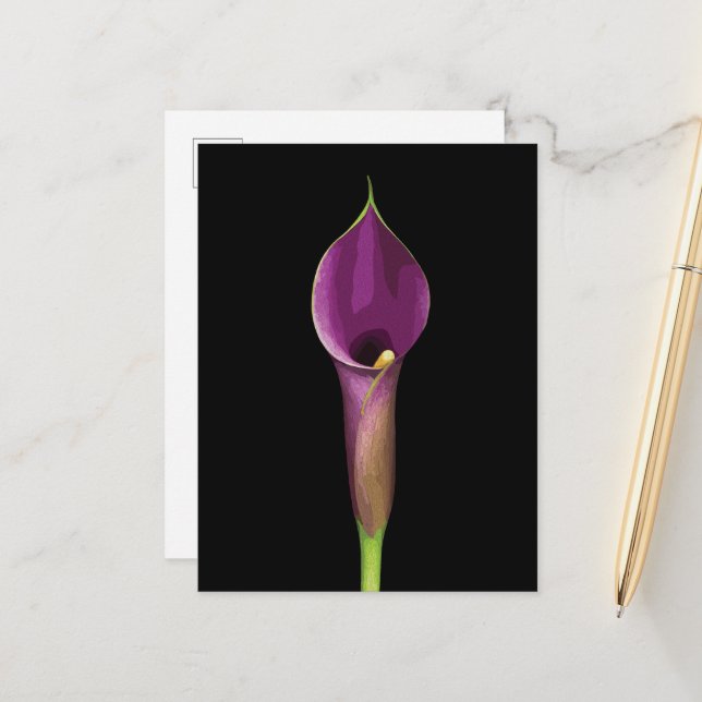 Postal Ilustracion Elegante Purple Calla Lily (Anverso/Reverso In Situ)