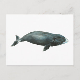 Postal Ilustración en acuarela de ballena de Groenlandia