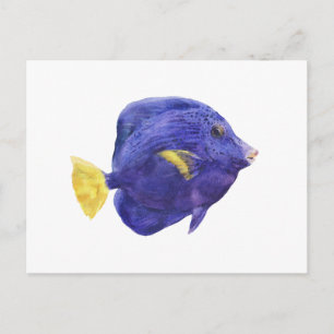 Postal Ilustración en Acuarela de Pez Tang Purpura