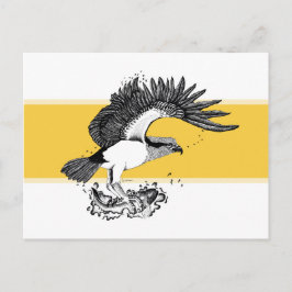 Postal Ilustración en blanco y negro de águila pescadora