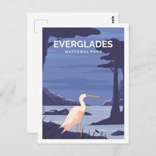 Postal Ilustracion Everglades Florida USA Travel Place (Anverso / Reverso)