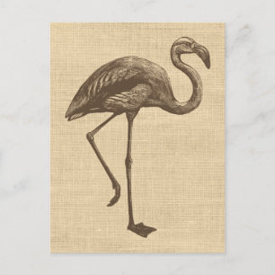 Postal Ilustracion Flamingo Vintage en Burlap