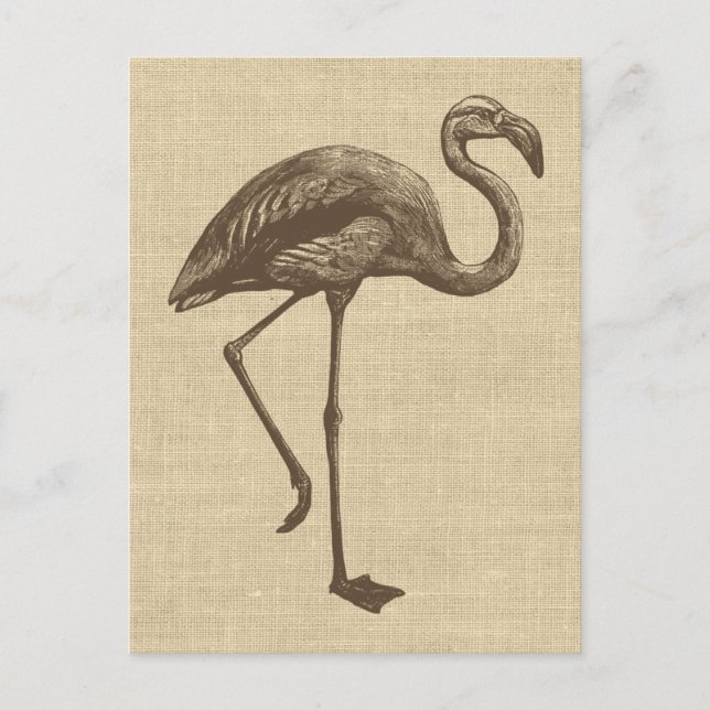 Postal Ilustracion Flamingo Vintage en Burlap (Anverso)