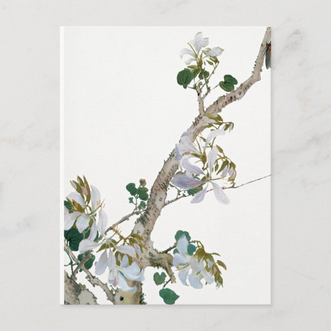 Postal Ilustracion Flores Vintage (Anverso)